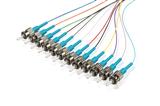 Pigtailset OM3 (50/125) ST LSZH STB 12 colors 900µm L=2m