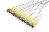 Pigtailset G652D (9/125) STupc LSZH STB 12 colors L=2m