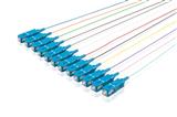 Pigtailset G652D (9/125) SCupc LSZH STB 12 colors L=2m