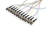 Pigtailset OM4 (50/125) ST LSZH STB 12 colors 900µm L=2m