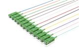 Pigtailset G657A (9/125) SCapc8 LSZH STB 12 colors  L=2m
